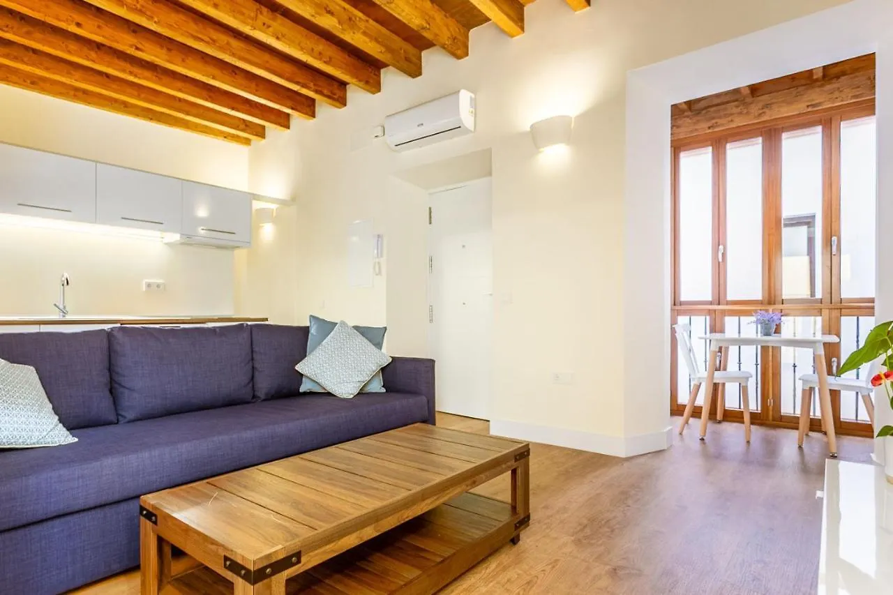 Stunning Apartment In Central Seville Spain